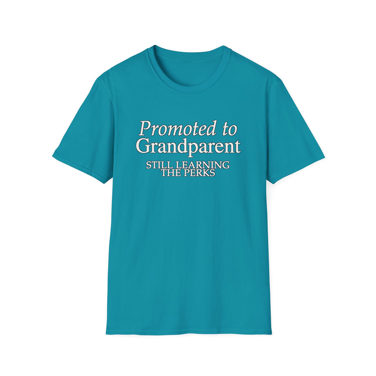 Copy of Promoted To Grandparent T-SHIRT